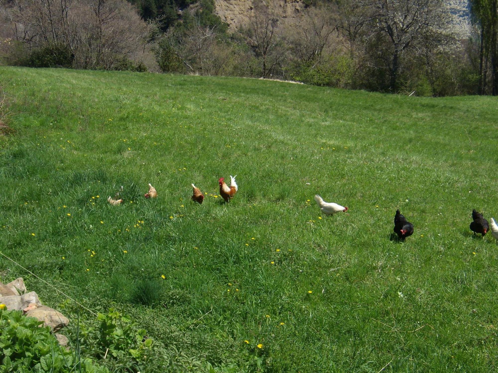 Yosa de Sobremonte Casa Rural Basajarau מראה חיצוני תמונה